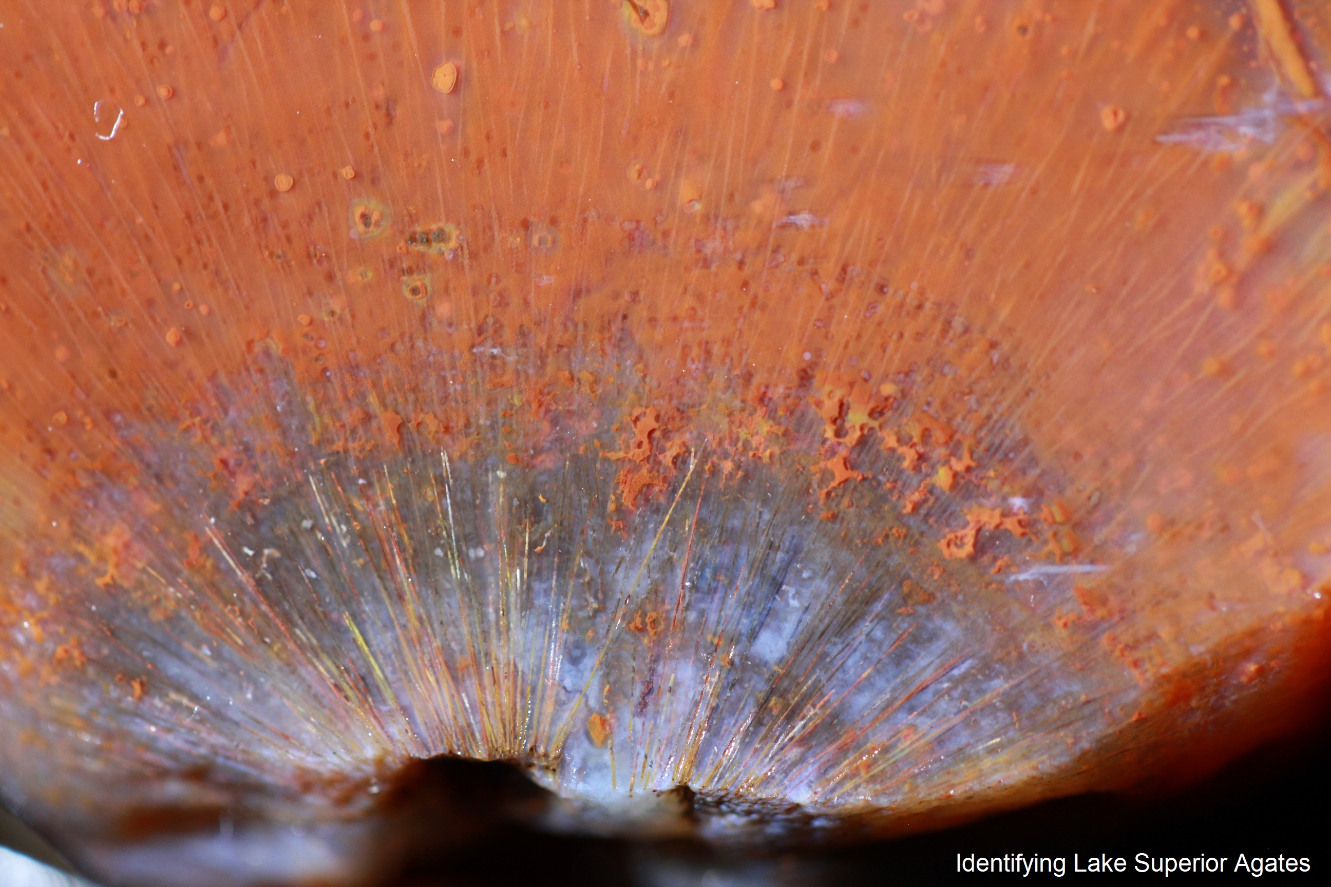 sagentite agate, lake superior sagentite agate