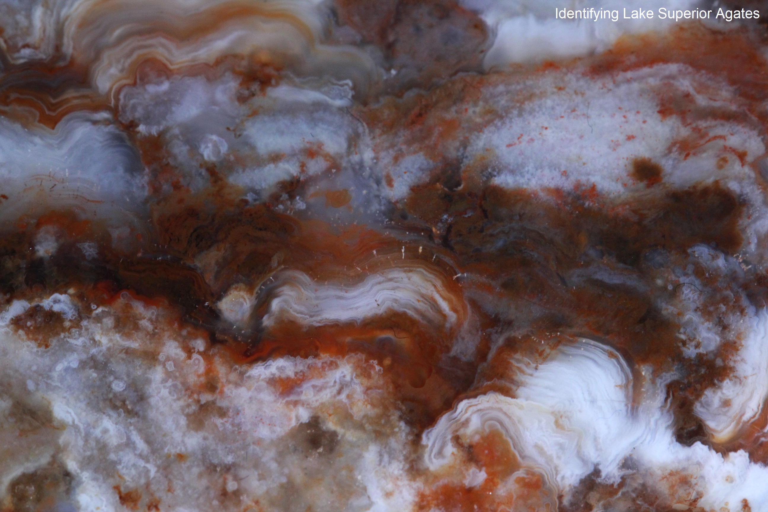 whorl agate, hurricane agate