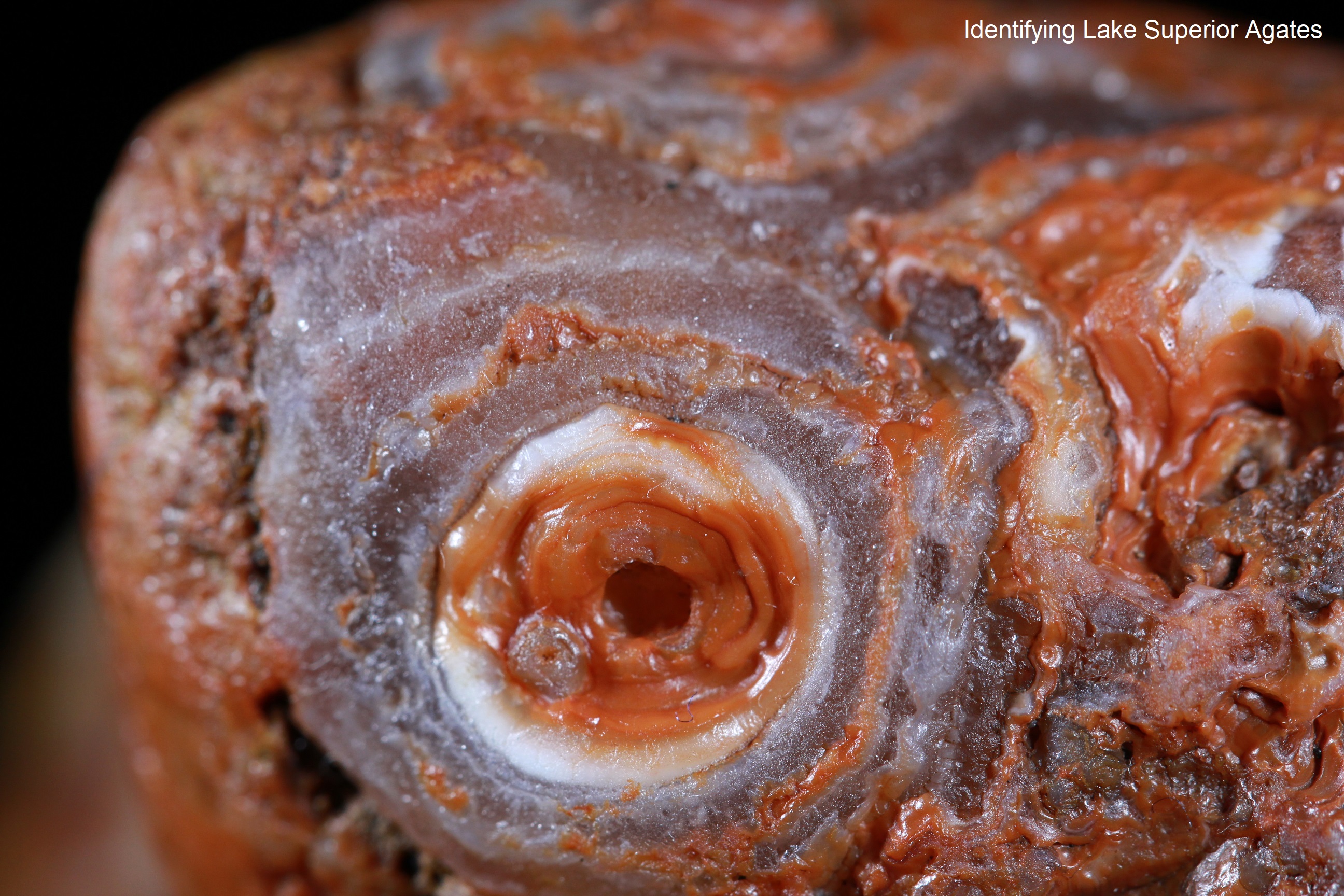 whorl agate, hurricane agate