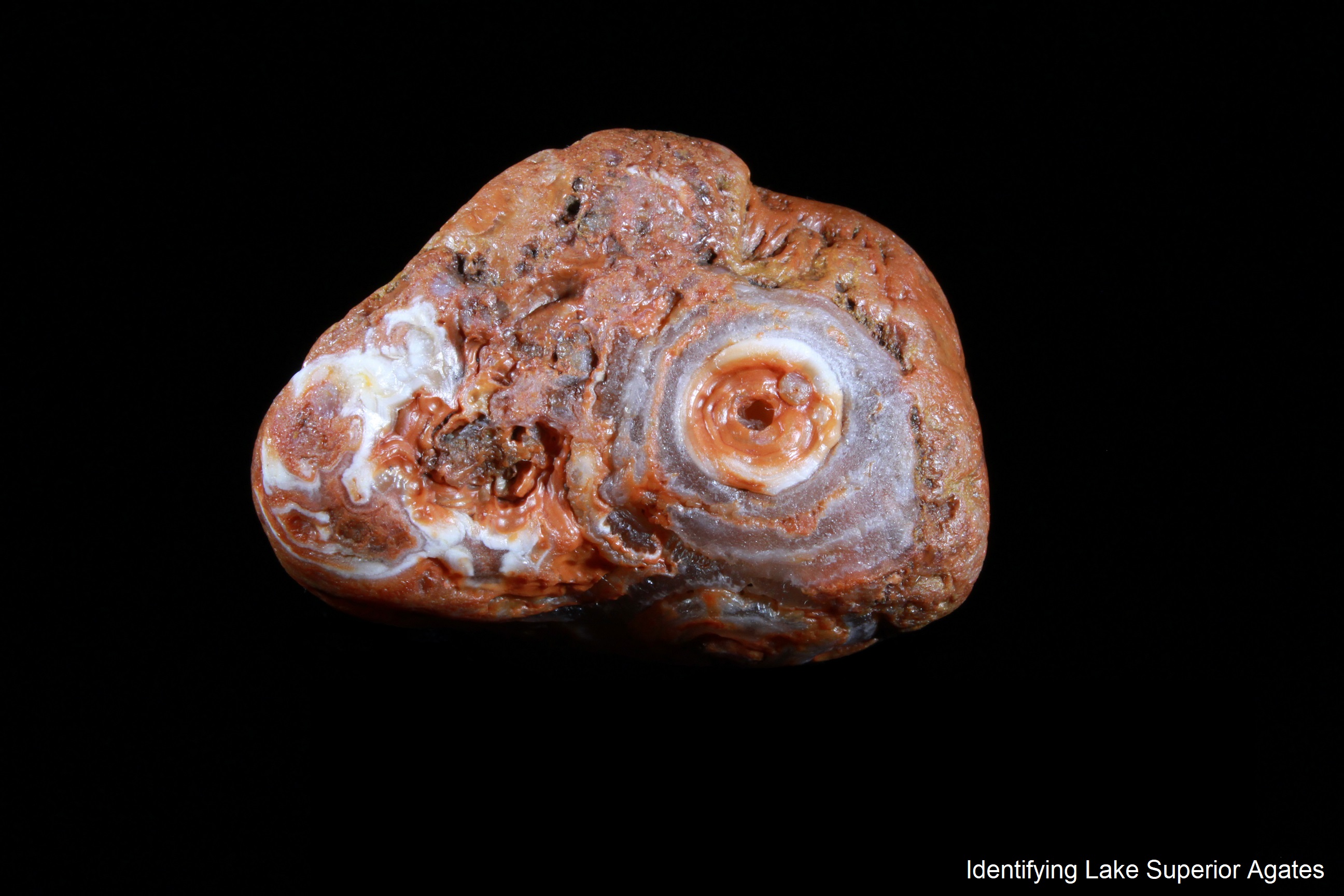 whorl agate, hurricane agate